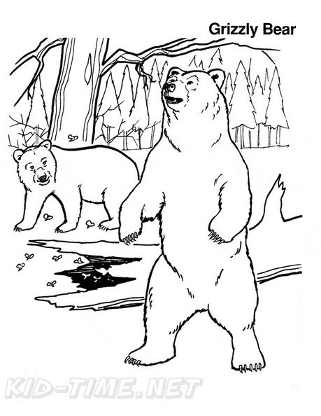 grizzly-bear-coloring-pages-103.jpg