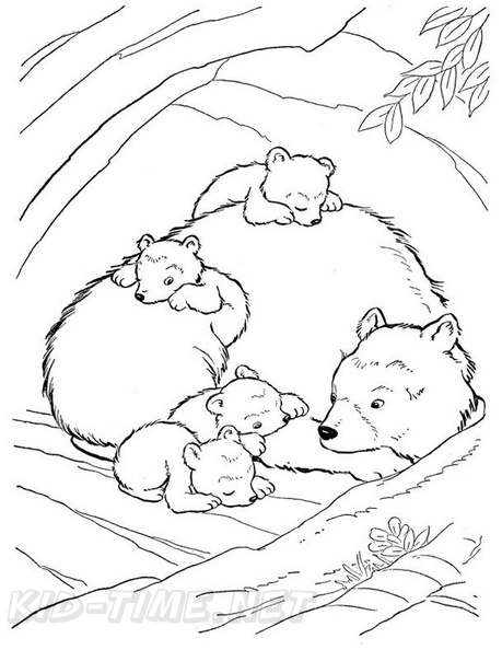 grizzly-coloring-pages-2008.jpg