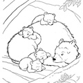 grizzly-coloring-pages-2008.jpg
