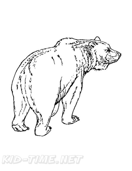 grizzly-coloring-pages-2011.jpg