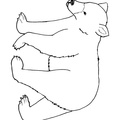 Kermode_Bear_Coloring_Pages_2003.jpg