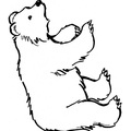 Kermode_Bear_Coloring_Pages_2004.jpg