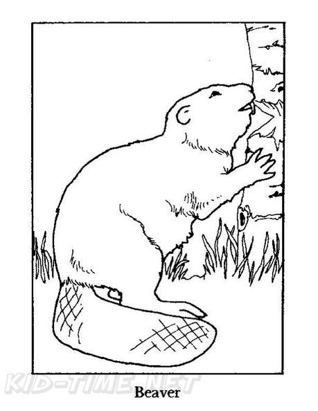 beaver-coloring-pages-002.jpg