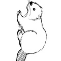 beaver-coloring-pages-008.jpg