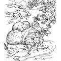 beaver-coloring-pages-016.jpg