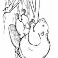 beaver-coloring-pages-035.jpg