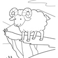 bighorn-sheep-ram-coloring-pages-007.jpg