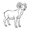 bighorn-sheep-ram-coloring-pages-009.jpg