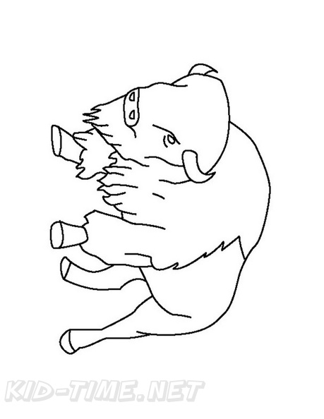 bison-coloring-pages-015.jpg