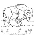 bison-coloring-pages-043.jpg