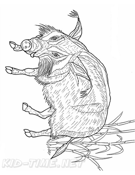 boar-coloring-pages-004.jpg