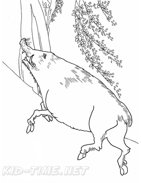 boar-coloring-pages-005.jpg