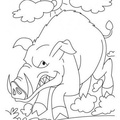 boar-coloring-pages-008