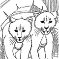 Bobcat_Coloring_Pages_01.jpg
