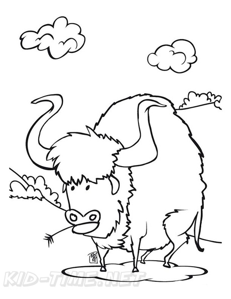 buffalo-coloring-pages-003.jpg