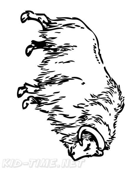 buffalo-coloring-pages-005.jpg