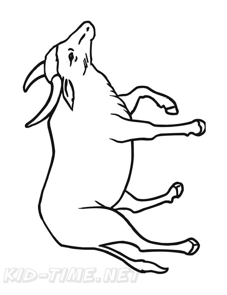 buffalo-coloring-pages-009.jpg