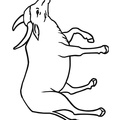 buffalo-coloring-pages-009.jpg