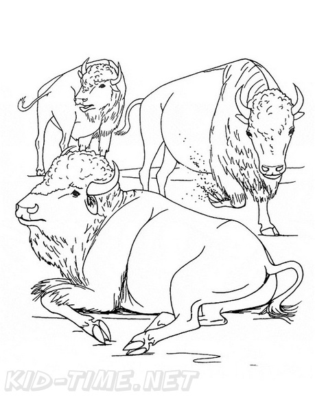 buffalo-coloring-pages-012.jpg