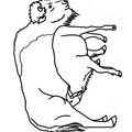buffalo-coloring-pages-017.jpg