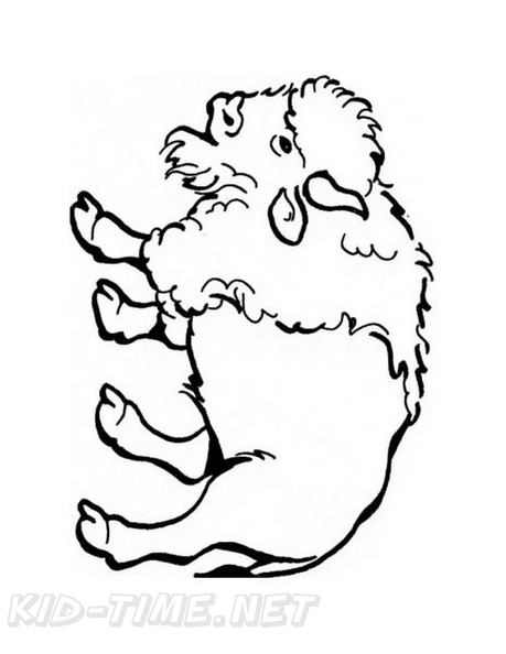 buffalo-coloring-pages-021.jpg