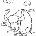 buffalo-coloring-pages-026.jpg