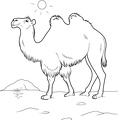 camel-coloring-pages-001.jpg