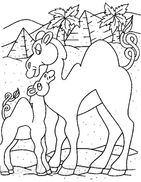 camel-coloring-pages-019.jpg