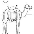 camel-coloring-pages-031.jpg