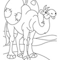 camel-coloring-pages-034.jpg