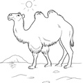 camel-coloring-pages-036.jpg
