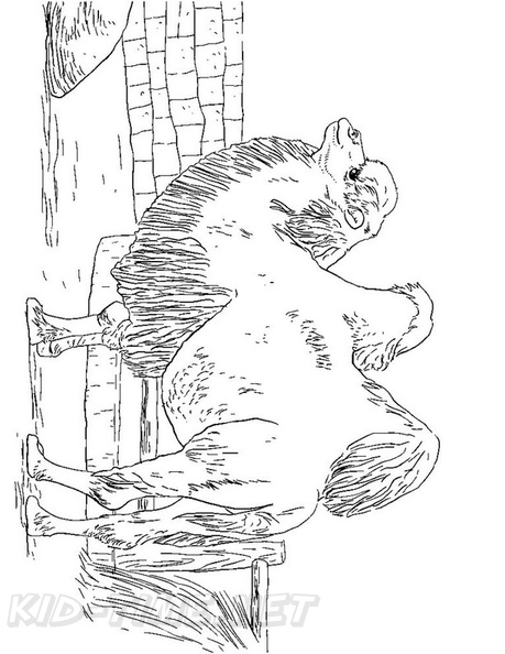 camel-coloring-pages-041.jpg