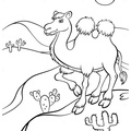 camel-coloring-pages-047.jpg