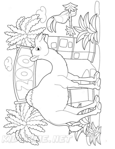 camel-coloring-pages-048.jpg