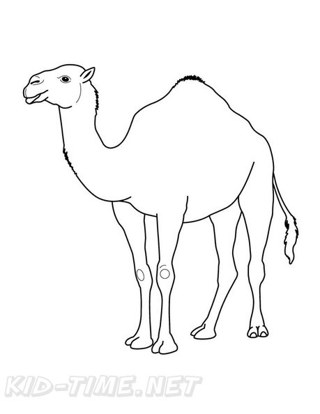 camel-coloring-pages-054.jpg