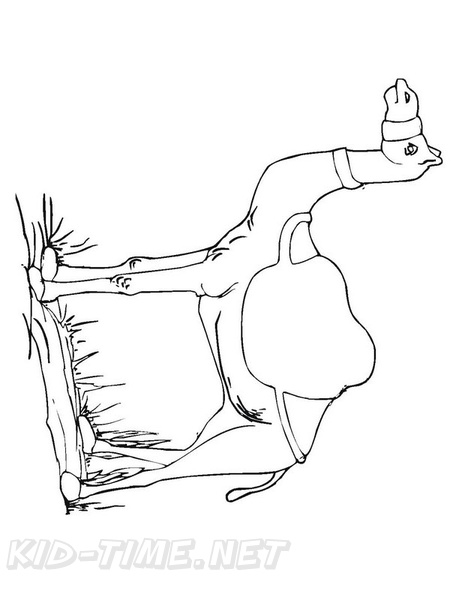 camel-coloring-pages-055.jpg