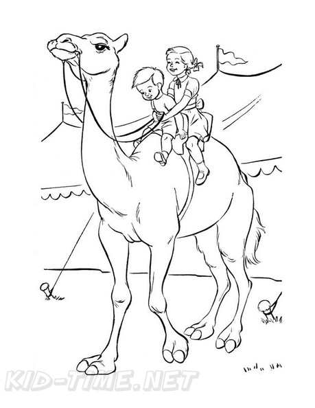 camel-coloring-pages-070.jpg