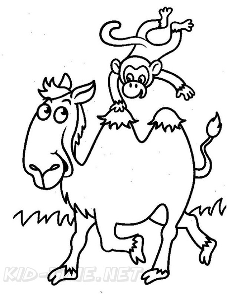 camel-coloring-pages-082.jpg