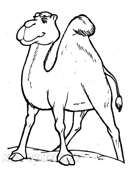 camel-coloring-pages-084.jpg