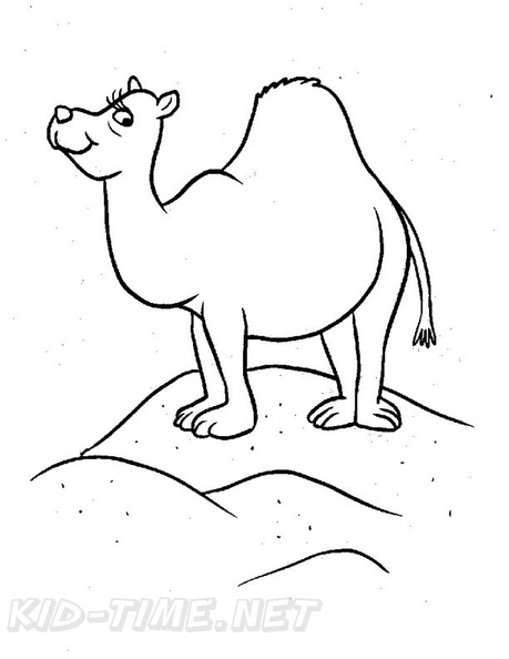 camel-coloring-pages-085.jpg