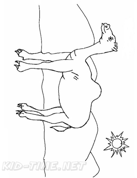 camel-coloring-pages-090.jpg
