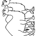 camel-coloring-pages-094.jpg
