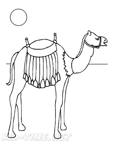 camel-coloring-pages-106.jpg
