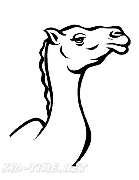 camel-coloring-pages-107.jpg