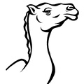 camel-coloring-pages-107.jpg