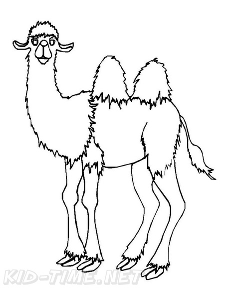 camel-coloring-pages-109.jpg