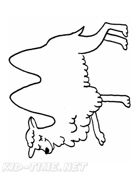 camel-coloring-pages-111.jpg