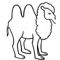 camel-coloring-pages-120.jpg