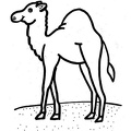 camel-coloring-pages-122.jpg