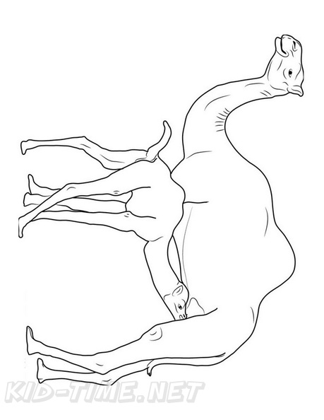 camel-coloring-pages-217.jpg